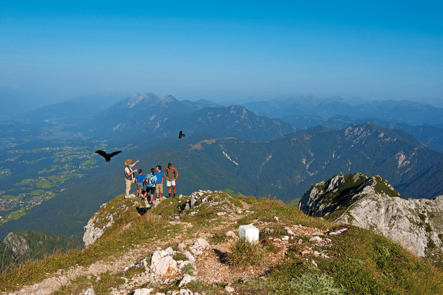 Wandern Kärnten, Wildtierbeobachtung