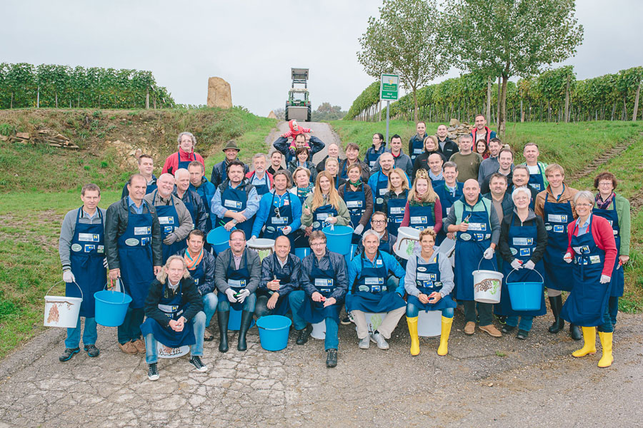 Foto: Roman Seidl Charity-Weinlese Niederösterreich Weinherbst