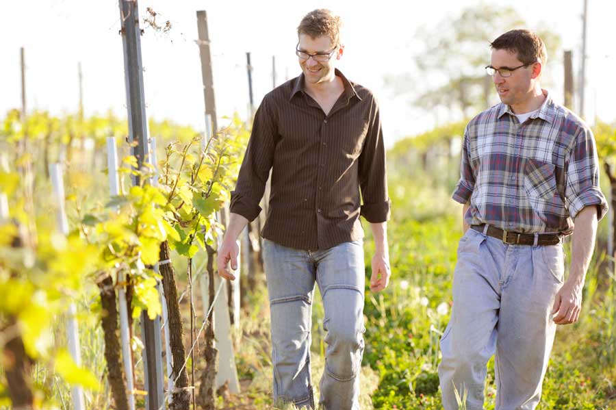 Foto: steve.haider.com vegane histaminarme Weine Weiss Brüder Weingut Weiss