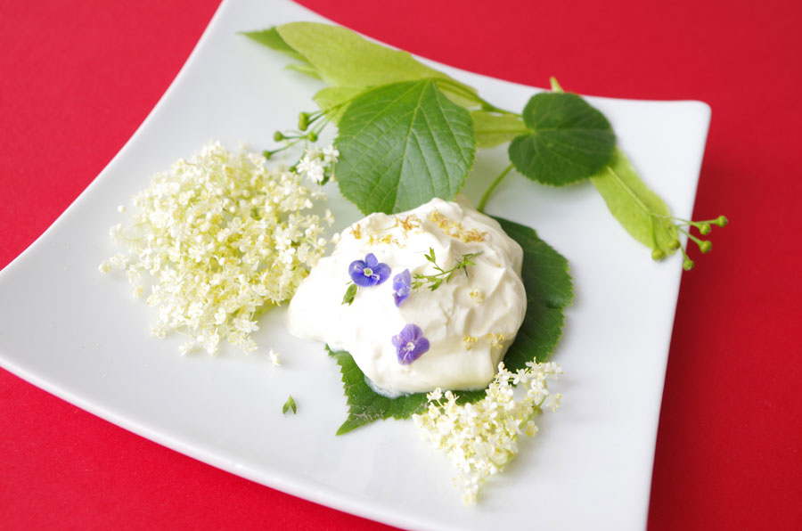 Foto: Fischer Rezept Holunderblüteneis Fischer