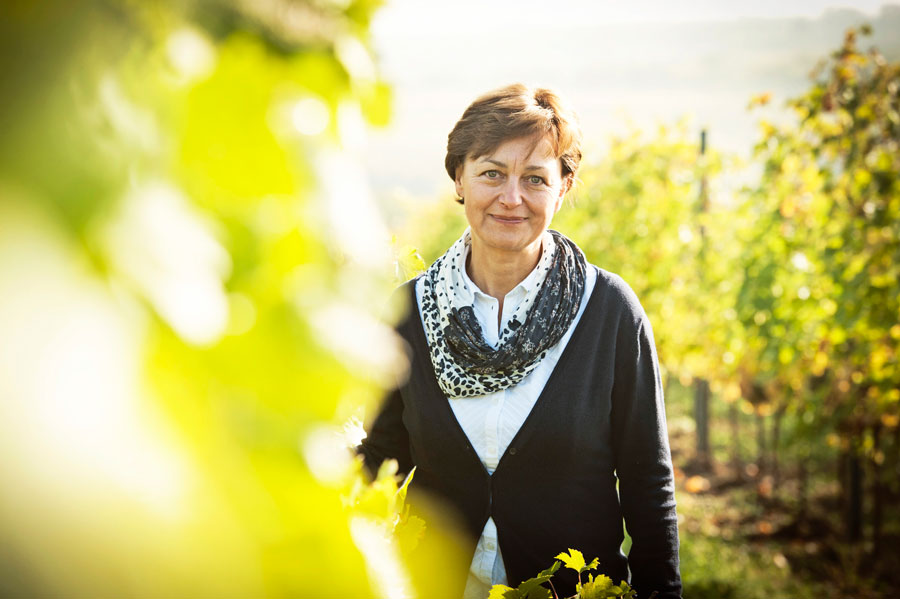 Bio-Wein und Bio-Weinbau aus Österreich Geyerhof Ilse Maier