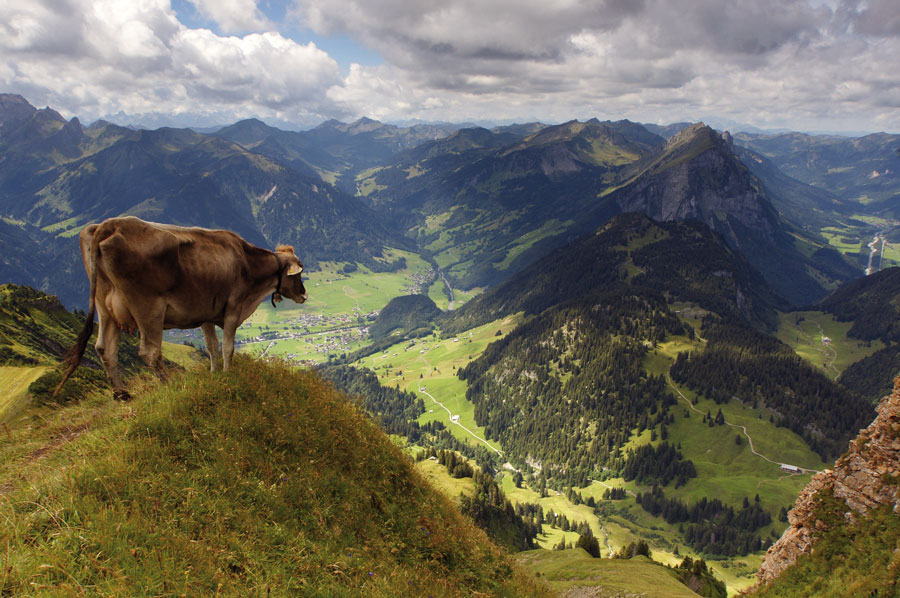 Foto: Ludwig Berchtold/Vorarlberg Tourismus Tourismus-Tagung im Bregenzerwald BÖTM