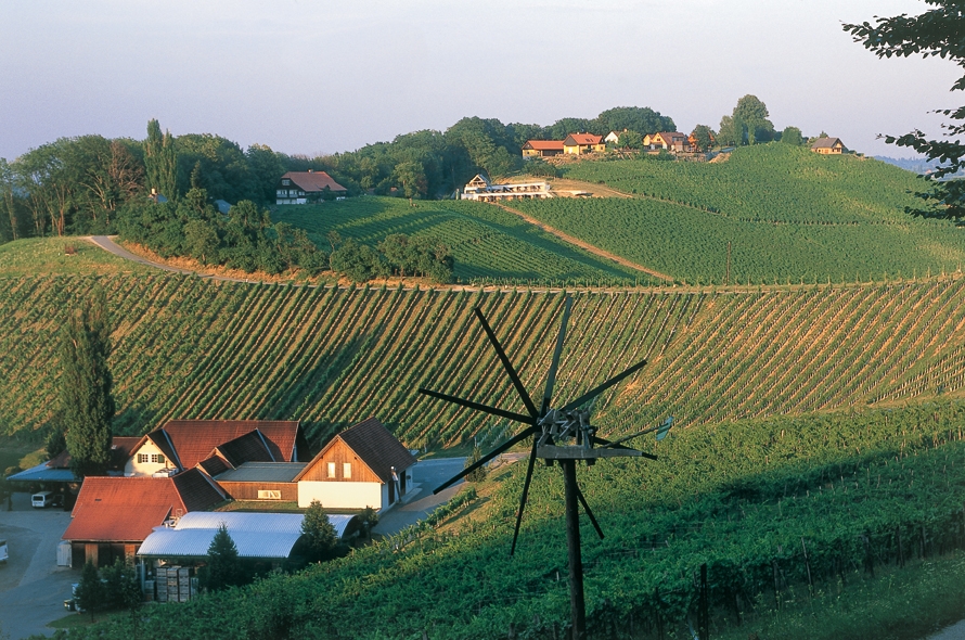 Lagenweine südliche Steiermark Polz