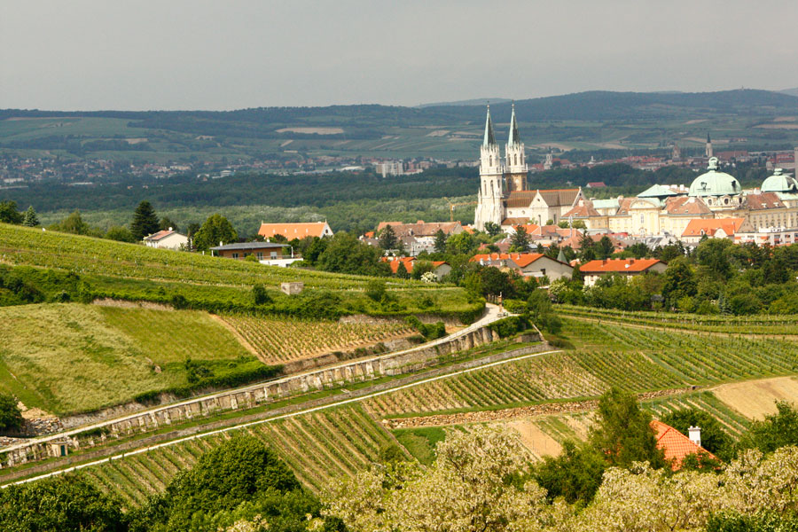 Foto: Kerbl Wein Klosterneuburg Weingut Kerbl Stift