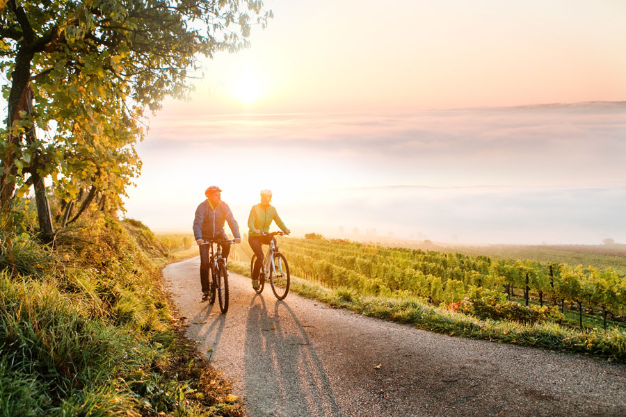 Bild: Niederösterreich-Werbung/Doris Schwarz-König Niederösterreich Tourismusjahr Ausblick Traisental