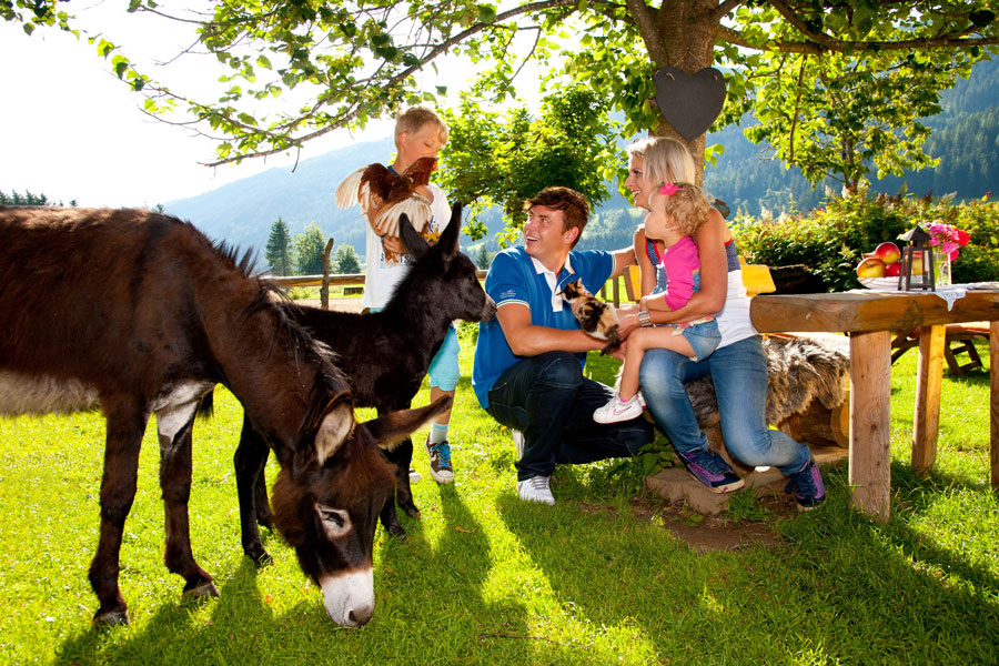 Familienurlaub im Bergdorf der Tiere