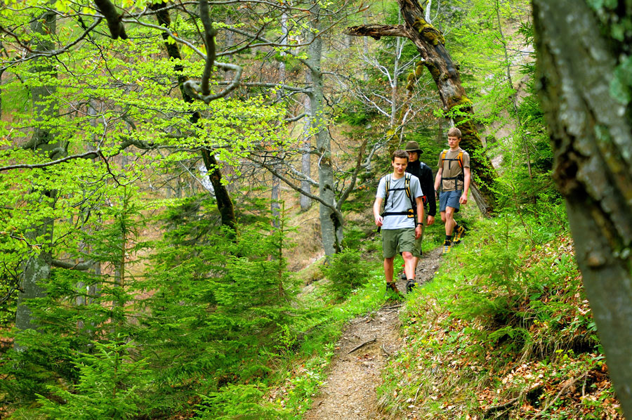 Natur-Abenteuer in den Nationalparks Die Wildnis in den Kalkalpen