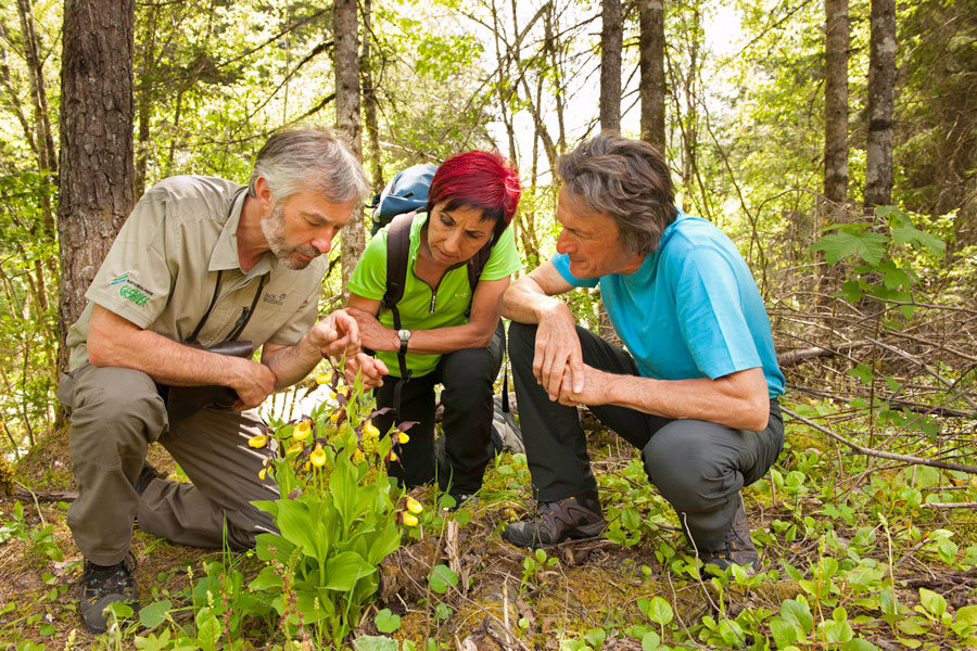 Natur-Abenteuer in den Nationalparks