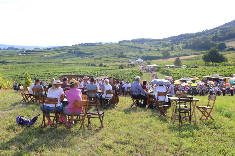 Genussmeile in der Thermenregion Wienerwald