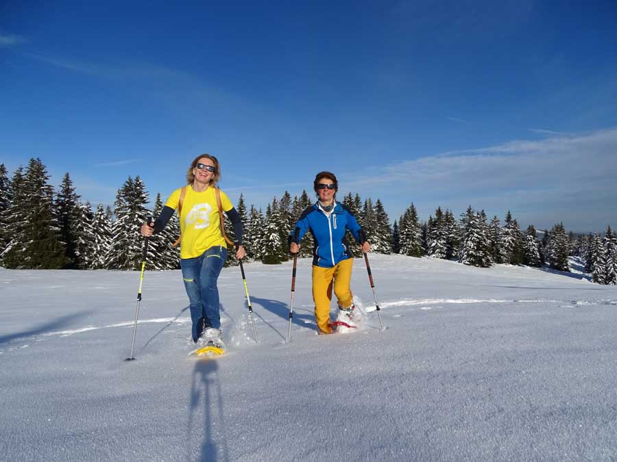 Schneeschuhwandern Steiermark Tipps