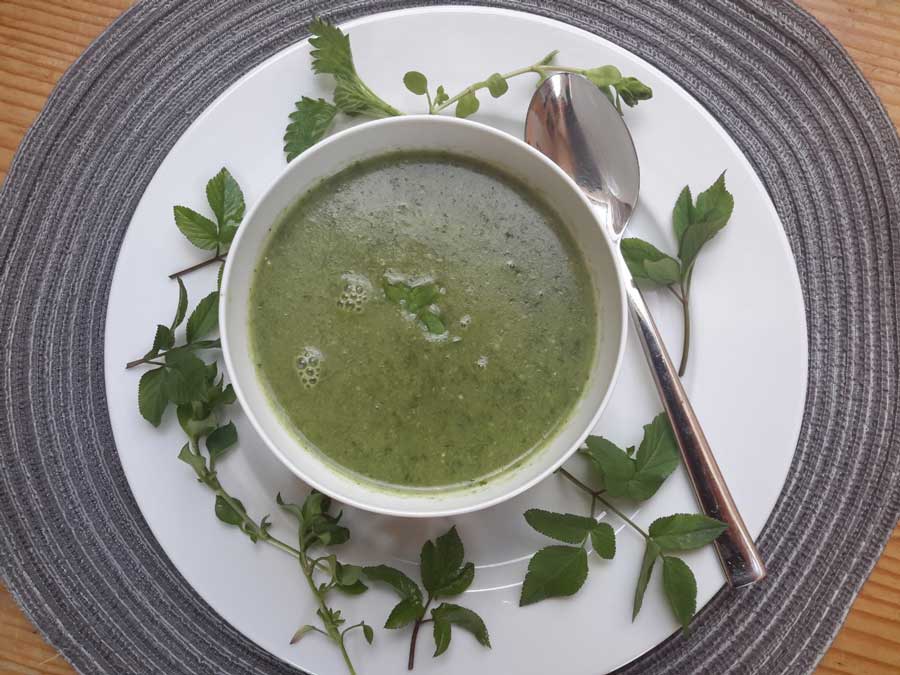 Foto: Michaela Knieli/die umweltberatung Rezept Wildkräutersuppe Umweltberatung Brennnesseln eignen sich hervorragend für eine Frischzellenkur im Frühling: Sie sind reich an Vitamin C und Chlorophyll, wirken blutreinigend und stärken das Bindegewebe.