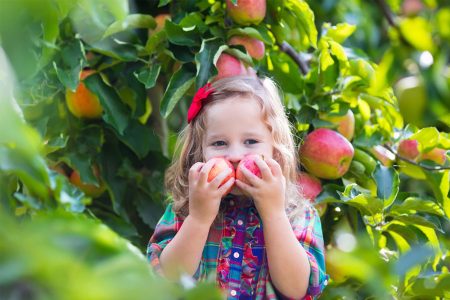 Foto: iStock/FamVeld Paradiesbetriebe im Südburgenland Tag der offenen Tür