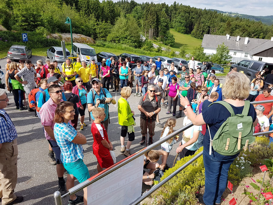 Südliches Waldviertel auf Wanderwegen entdecken