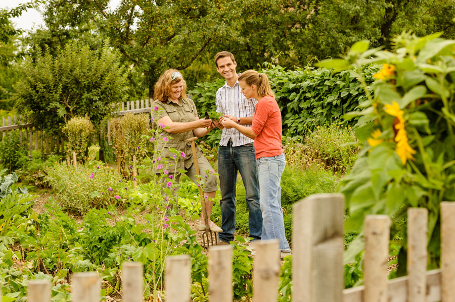 Foto: Niederösterreich-Werbung/Rita Newman Ausflüge in Niederösterreichs Gärten Gartensommer