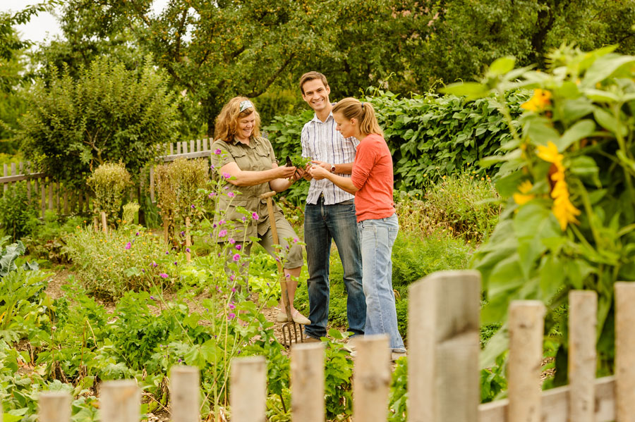 Ausflüge in Niederösterreichs Gärten Gartensommer