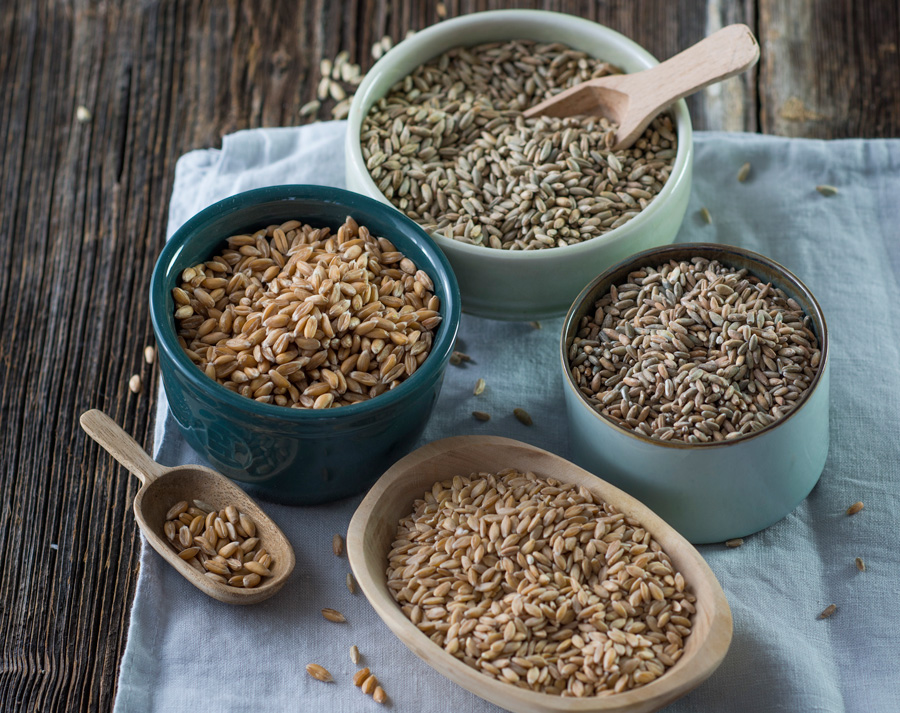 Einkorn Dinkel Urroggen Brot aus Urgetreide