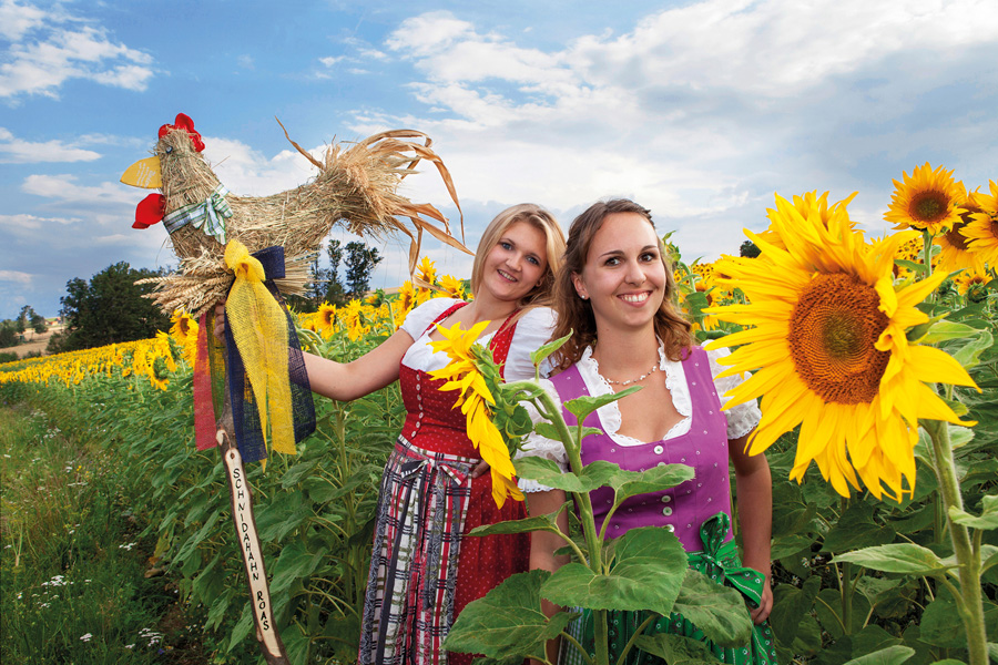 Vernetzung Gastronomie Landwirtschaft Bucklige Welt