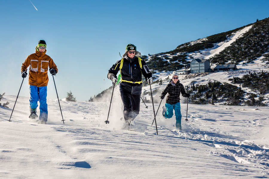 Top-Ausflugsziele im Winter Niederösterreich