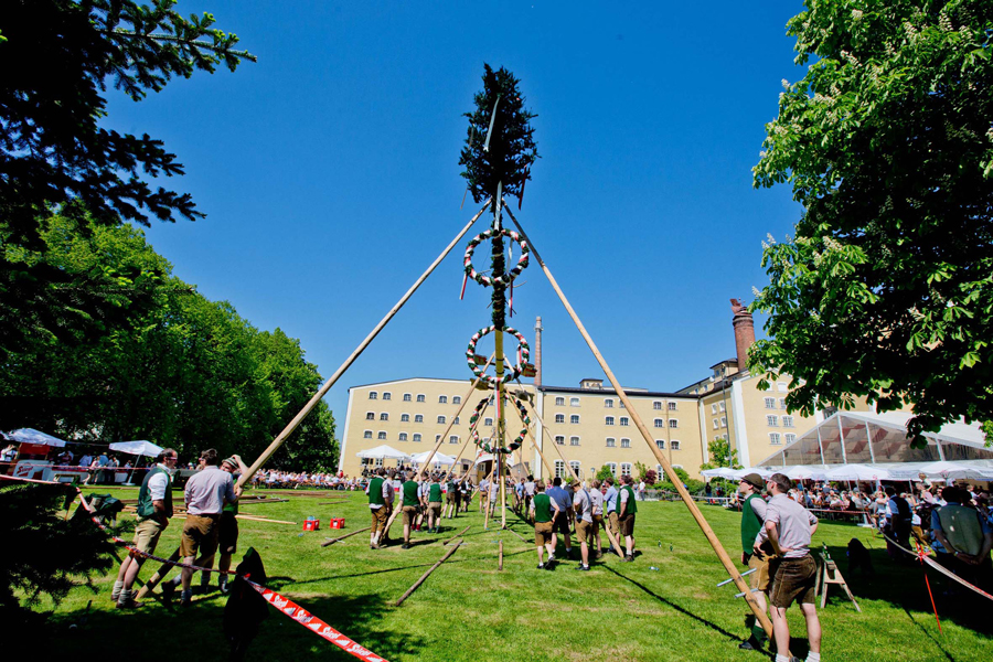 Maibaumfest in Salzburg mit Schmankerlgenuss Stiegl