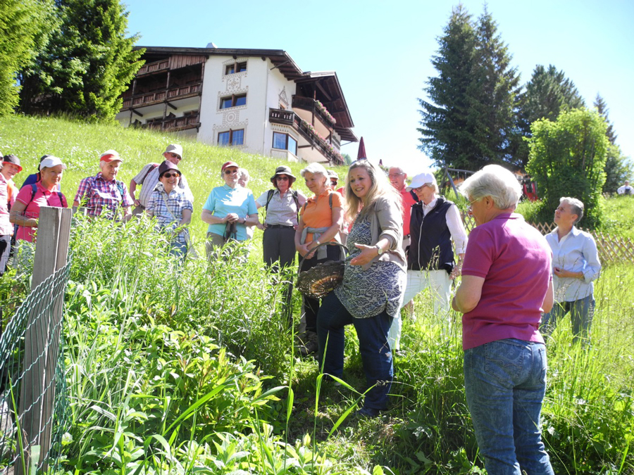 Kräuterwanderungen in Südtirol Naturschätze entdecken