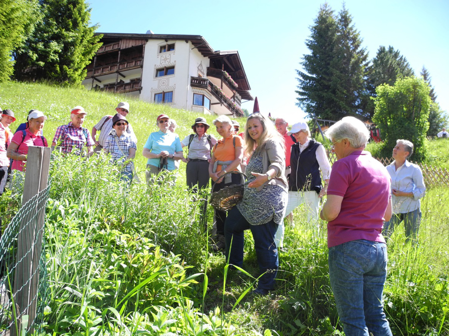 Foto: Sporthotel Panorama Kräuterwanderungen in Südtirol Naturschätze entdecken