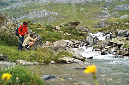 Foto: Sporthotel Panorama Kräuterwanderungen in Südtirol Naturschätze entdecken