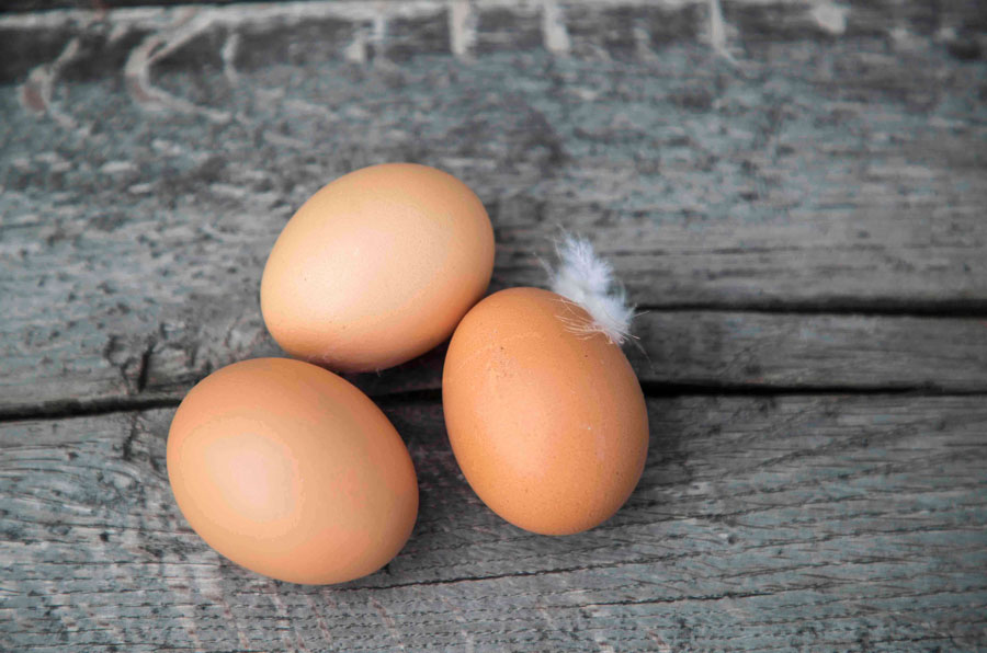 Die Eier werden einer umfassenden Qualitätskontrolle unterzogen und wandern danach in eine hochmoderne Sortiermaschine.