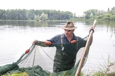 Biologisch bewirtschafte Naturteiche im nördlichen Waldviertel sind die Basis für die hohe Qualität der Fische