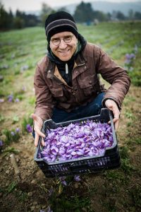 Die Wirtschaft von morgen – schon heute! - Food - WACHAUER SAFRAN 7 als Smartobjekt 1