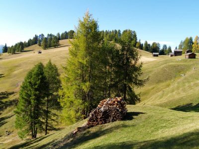 Nostalgisches „Bergsteigeressen“