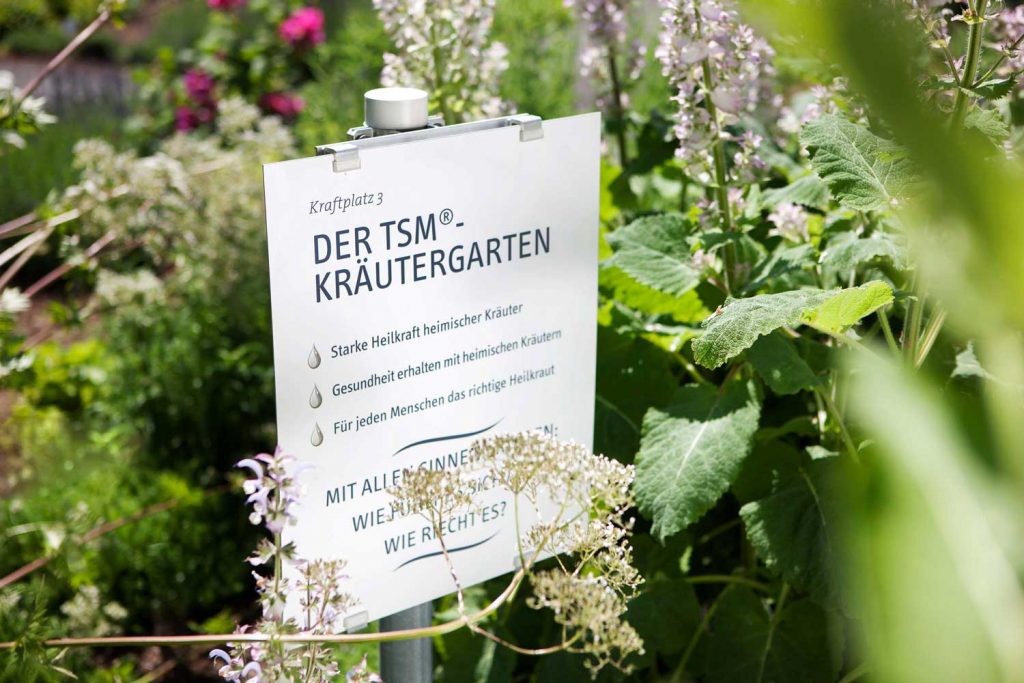 Farm to table Traditionell Steirische Medizin ®
