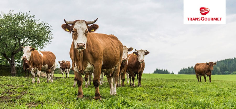 Heimisches Frischfleisch für die Gastronomie