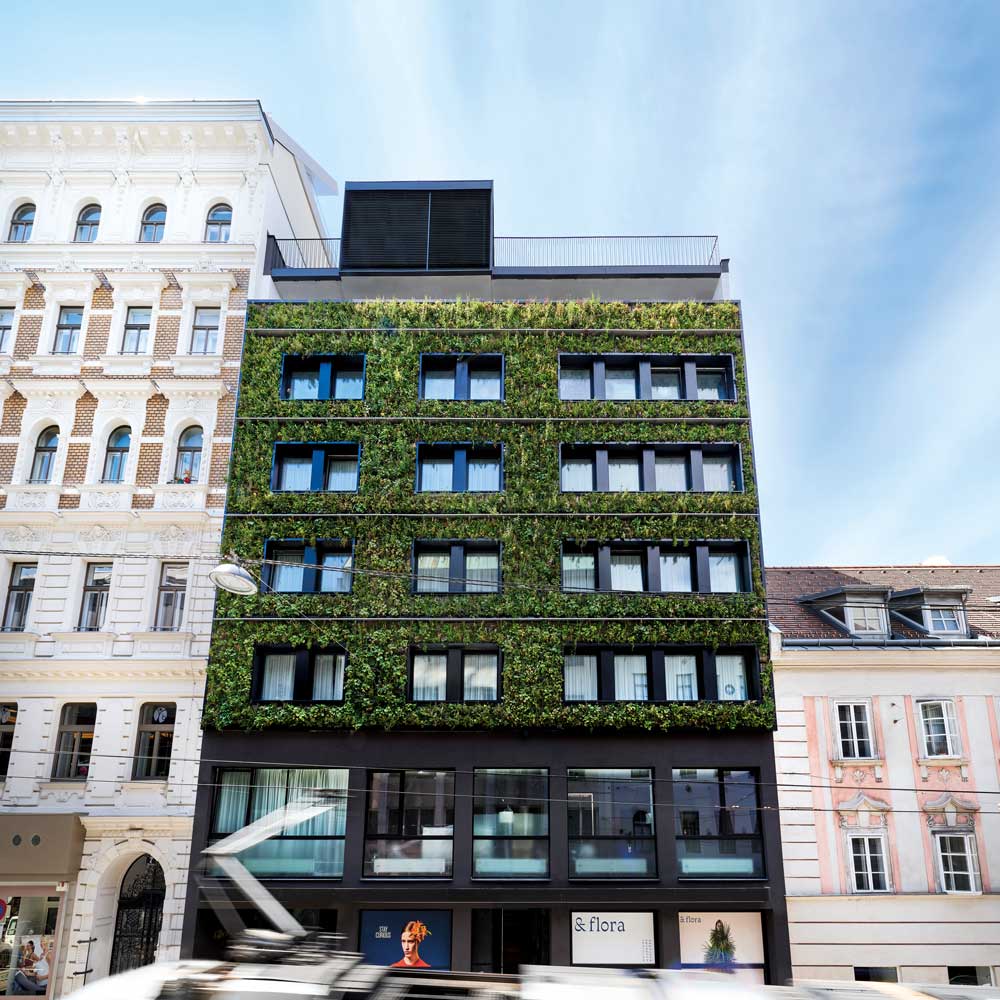 Die Living Wall des Hotel Gilbert.