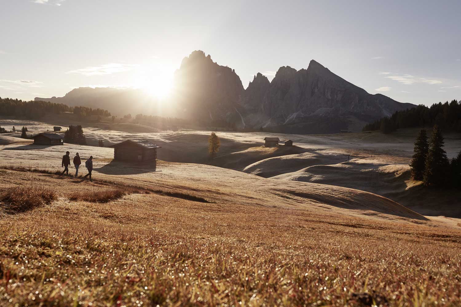 Europas größte Hochalm, die Seiser Alm. Foto: IDM Südtirol-Alto Adige / Andreas Mierswa