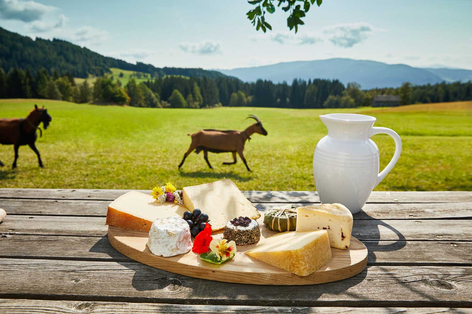 Die Käseplatte im Salzburgerland steht stellvertretend für alle regionalen Produkte im Land. Foto: Salzburgerland