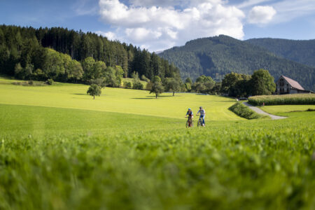 Radfahren wird eine immer beliebtere Urlaubsaktivität in der Steiermark.