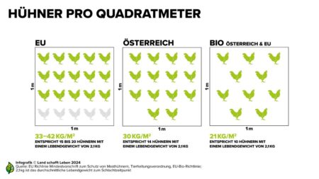 In keinem anderen EU-Land haben Hühner in konventioneller Haltung so viel Platz wie in Österreich; Land schafft Leben