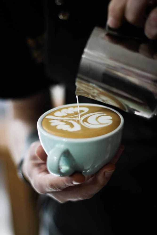 Ist Bio-Kaffee besser?