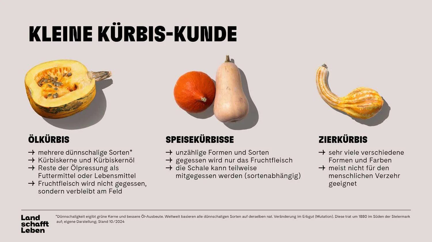 Land schafft Leben Kleine Kürbis-Kunde