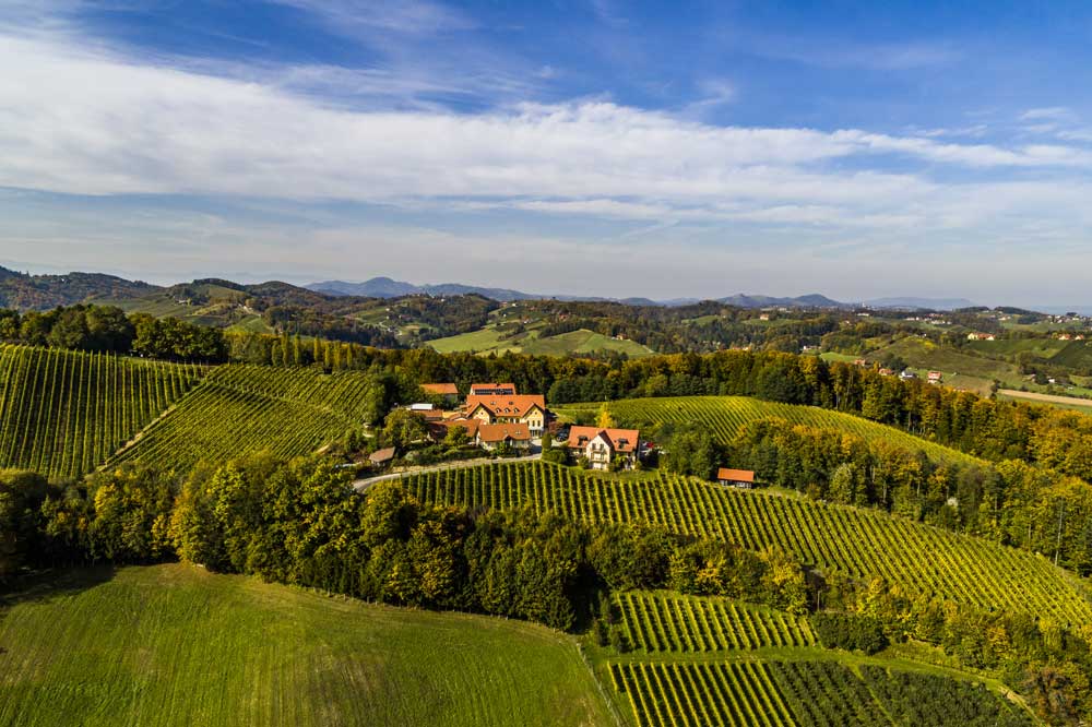 Der Sattlerhof liegt inmitten der Weinberge.